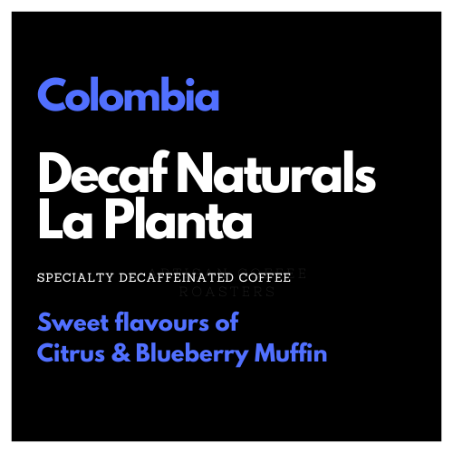 Decaffeinated coffee beans